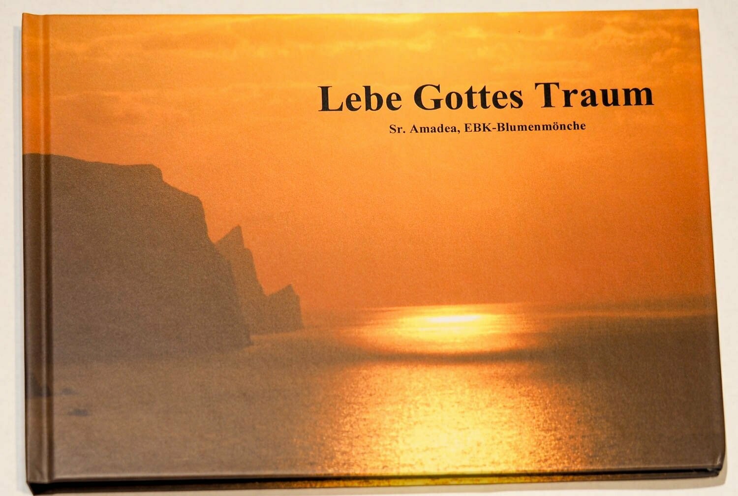 Buch "Lebe Gottes Traum"