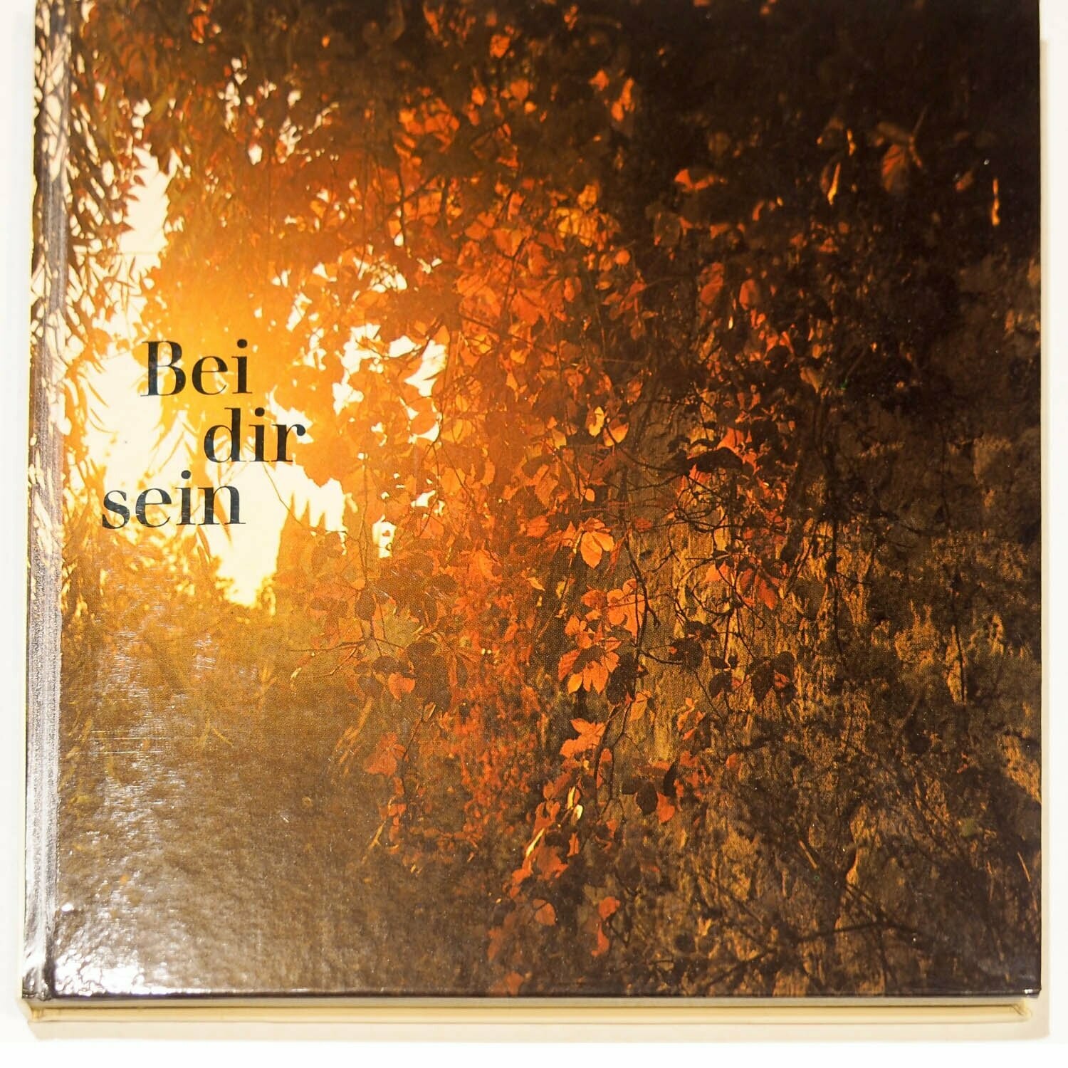 Buch "Bei dir sein"