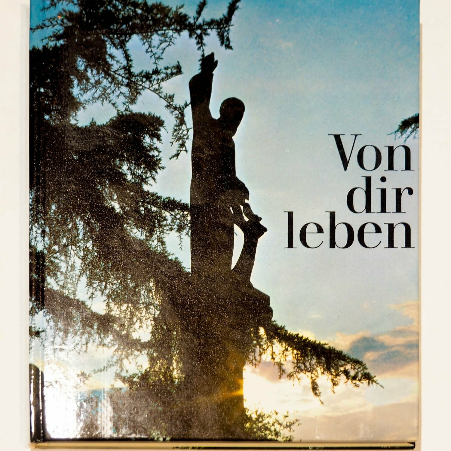 Buch "Von Dir leben"